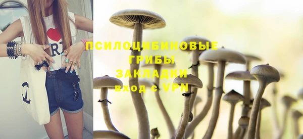 тгк Баксан
